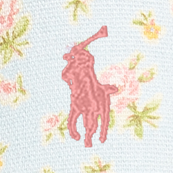 Light Blue & Pink Floral