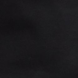 Polo Black