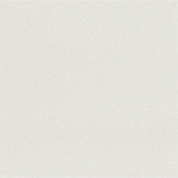 No Color
