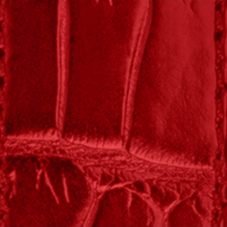 Rot