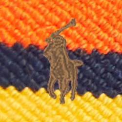 Orange / Navy