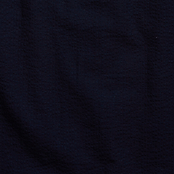 Dark Indigo