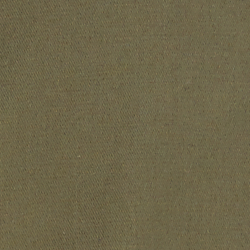 Canopy Olive