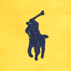 Signal Yellow