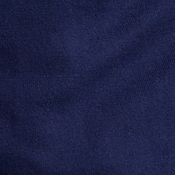 Cruise Navy
