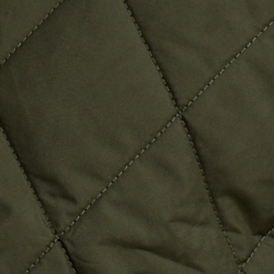 Company Olive