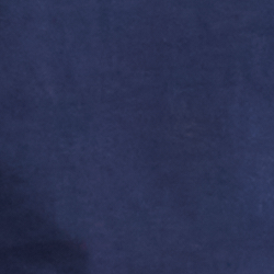 French Navy