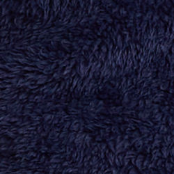 Cruise Navy