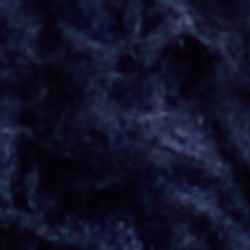 Cruise Navy