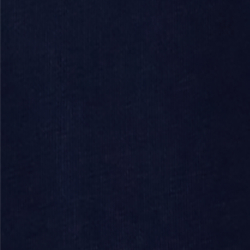 Cruise Navy