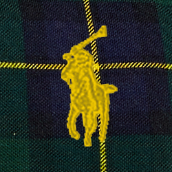 Das Polo-Tartan
