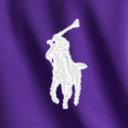 Purple Cactus