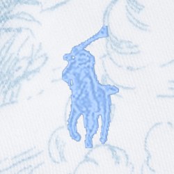 Blue Toile