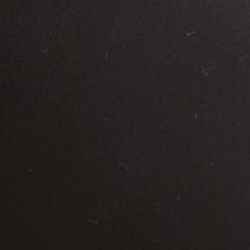 Polo Black