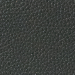 Racing Green/Eqst Chn Cam