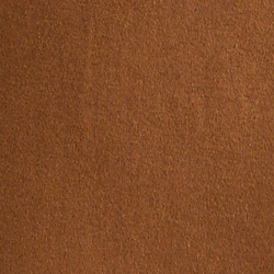 New Vicuna