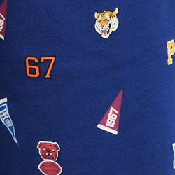 Royal Pep Rally Print