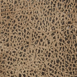 Brown Earth