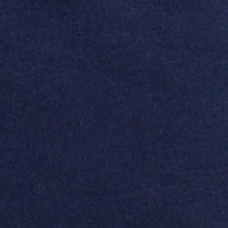 Cruise Navy