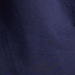 Cruise Navy