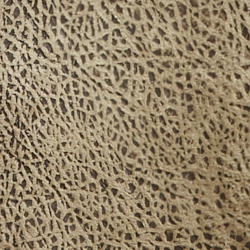 Brown Earth