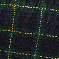 Gordon Plaid
