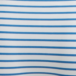 Blue/White