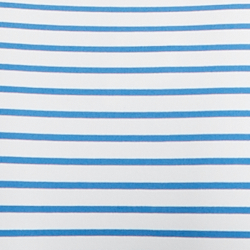 Blue/White
