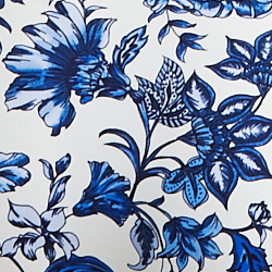 White/Blue