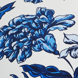 White/Blue