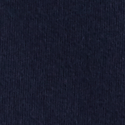 Cruise Navy