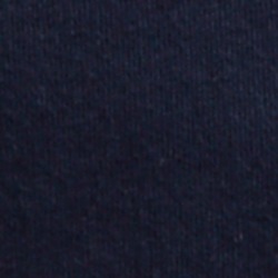 Cruise Navy