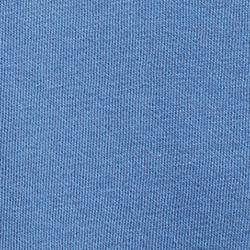 Bastille Blue Surf Bear