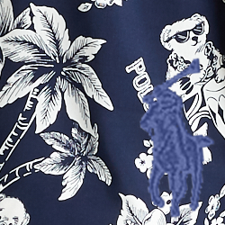 Navy Bear-waiian