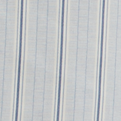 Blue Stripe