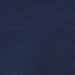 Cruise Navy