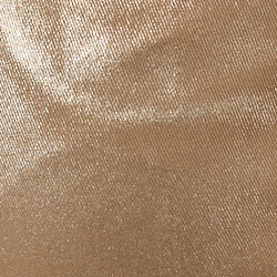 Gilded Truffle