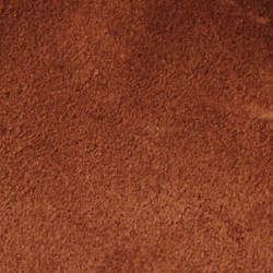 Cinnamon