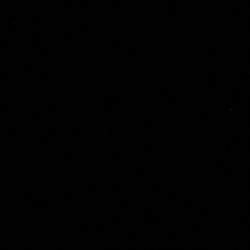 Polo Black