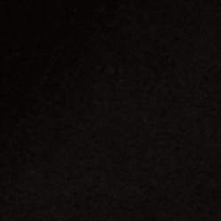 Polo Black