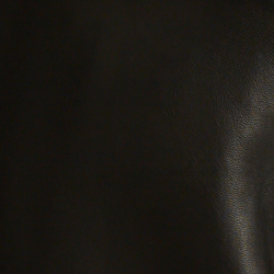 Polo Black