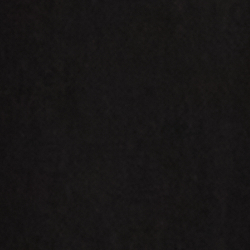 Polo Black