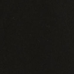 Polo Black