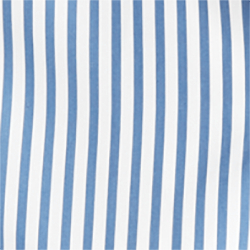 Blue/White