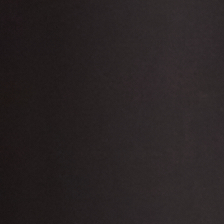 Polo Black