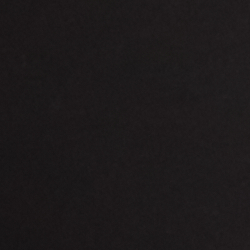 Polo Black