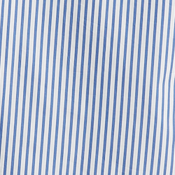 Blue/White