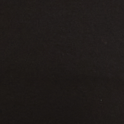 Polo Black