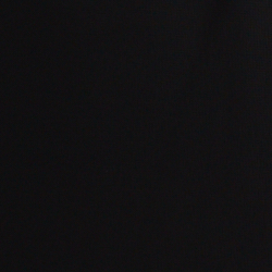 Polo Black