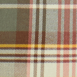 Olive Multi